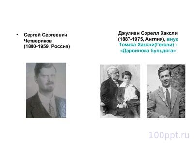 Презентация история эволюционных взглядов - слайд 8 8 слайд презентации история эволюционных взглядов