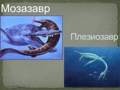 Презентация причины вымирания динозавров - слайд 2 2 слайд презентации причины вымирания динозавров