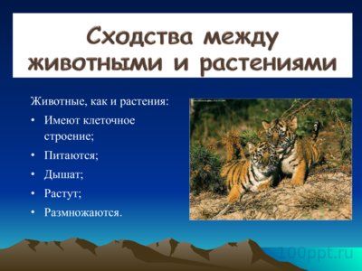 Презентация биология - наука о живой природе - слайд 1 1 слайд презентации биология - наука о живой природе