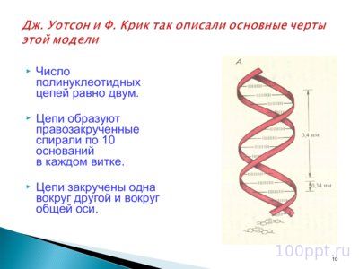 Презентация биохимические основы наследственности - слайд 7 7 слайд презентации биохимические основы наследственности