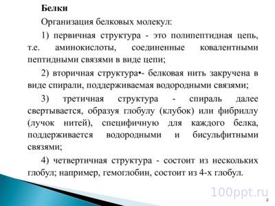 Презентация биохимические основы наследственности - слайд 1 1 слайд презентации биохимические основы наследственности