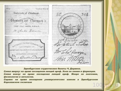 Презентация Чарльз Дарвин - слайд 6 6 слайд презентации Чарльз Дарвин