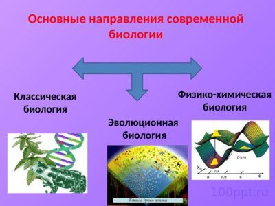 Презентация методы исследования в биологии - слайд 1 1 слайд презентации методы исследования в биологии