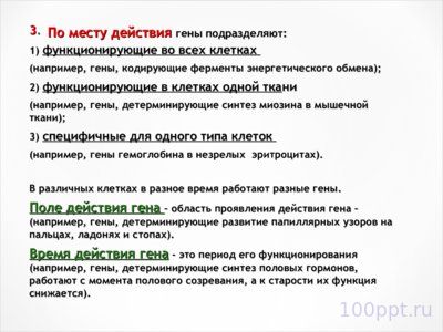 Презентация молекулярные основы наследственности - слайд 6 6 слайд презентации молекулярные основы наследственности