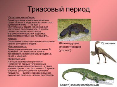 Презентация мезозойская эра - слайд 3 3 слайд презентации мезозойская эра