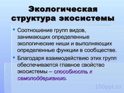 Презентация структура экосистемы - слайд 6 6 слайд презентации структура экосистемы