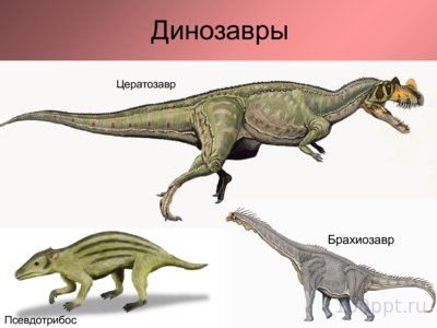 Презентация мезозойская эра - слайд 7 7 слайд презентации мезозойская эра