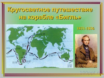 Презентация дарвинизм - слайд 4 4 слайд презентации дарвинизм