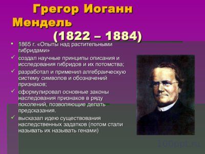Презентация история и основные понятия генетики - слайд 4 4 слайд презентации история и основные понятия генетики