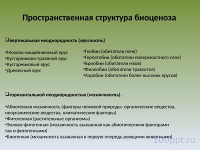 Презентация экология сообществ - слайд 5 5 слайд презентации экология сообществ