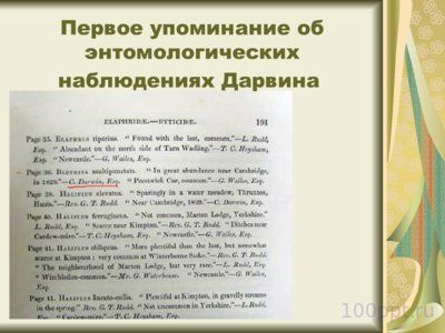 Презентация Чарльз Дарвин - слайд 7 7 слайд презентации Чарльз Дарвин