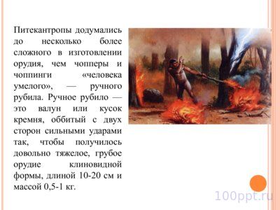 Презентация питекантроп - слайд 6 6 слайд презентации питекантроп