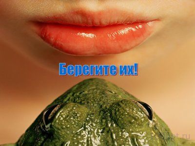 Презентация шпорцевые лягушки - слайд 11 11 слайд презентации шпорцевые лягушки