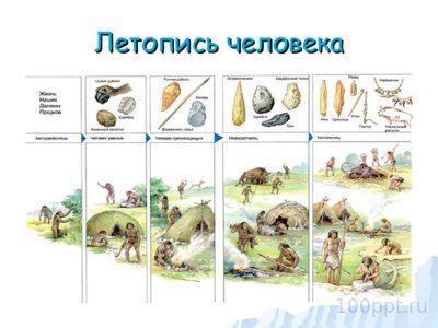 Презентация как появился человек на земле - слайд 14 14 слайд презентации как появился человек на земле