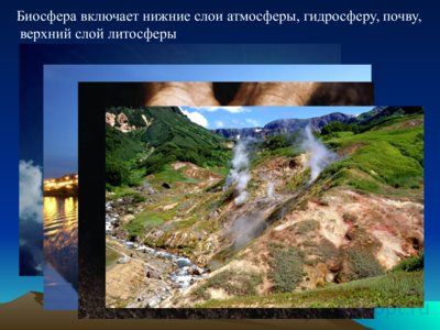 Презентация биология - наука о живой природе - слайд 6 6 слайд презентации биология - наука о живой природе
