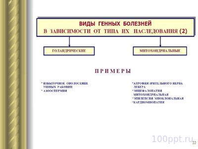 Презентация патология наследственности - слайд 6 6 слайд презентации патология наследственности