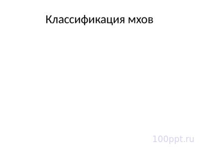 Презентация отдел моховидные - слайд 3 3 слайд презентации отдел моховидные