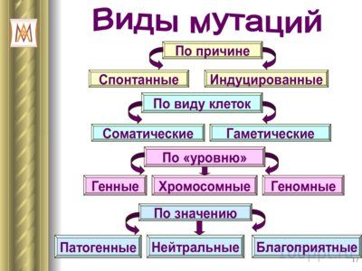 Презентация патология наследственности - слайд 5 5 слайд презентации патология наследственности