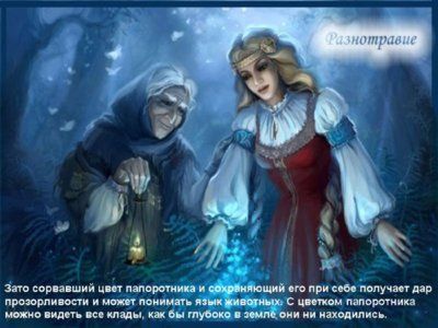 Презентация папоротники, плавуны и хвощи - слайд 12 12 слайд презентации папоротники, плавуны и хвощи