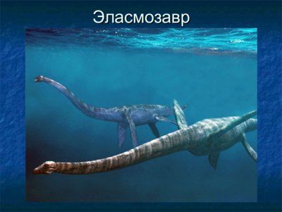 Презентация водные динозавры - слайд 7 7 слайд презентации водные динозавры