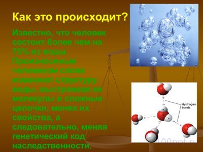 Презентация влияние ненормативной лексики на наследственность - слайд 4 4 слайд презентации влияние ненормативной лексики на наследственность