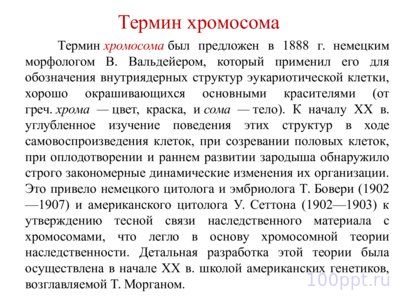 Презентация морфология хромосом - слайд 1 1 слайд презентации морфология хромосом