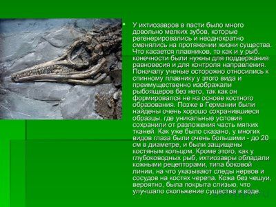 Презентация морские динозавры - слайд 3 3 слайд презентации морские динозавры