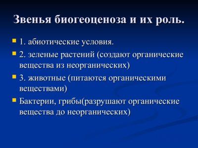 Презентация понятие о биогеоценозе и экосистеме - слайд 7 7 слайд презентации понятие о биогеоценозе и экосистеме