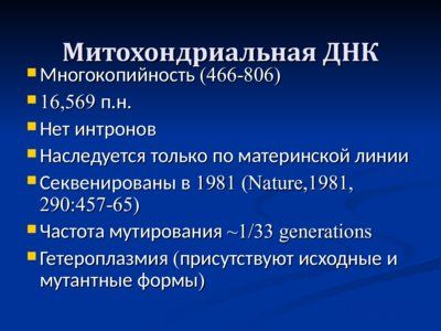 Презентация нехромосомная (внеядерная) наследственность - слайд 10 10 слайд презентации нехромосомная (внеядерная) наследственность