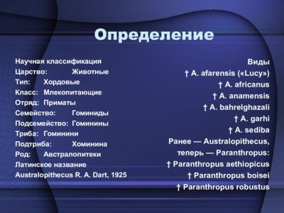Презентация австралопитек - слайд 4 4 слайд презентации австралопитек