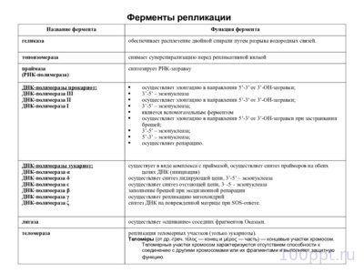 Презентация материальные основы наследственности - слайд 4 4 слайд презентации материальные основы наследственности