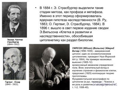 Презентация цитологические основы наследственности - слайд 4 4 слайд презентации цитологические основы наследственности