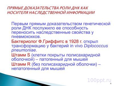 Презентация биохимические основы наследственности - слайд 5 5 слайд презентации биохимические основы наследственности