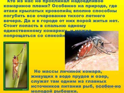 Презентация вредные и полезные насекомые - слайд 2 2 слайд презентации вредные и полезные насекомые