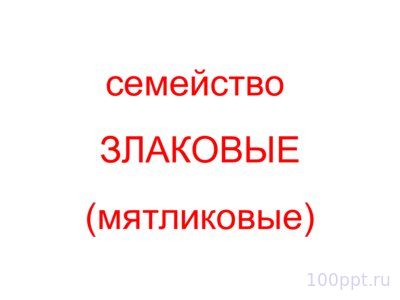 Презентация семейства класса однодольные - слайд 8 8 слайд презентации семейства класса однодольные