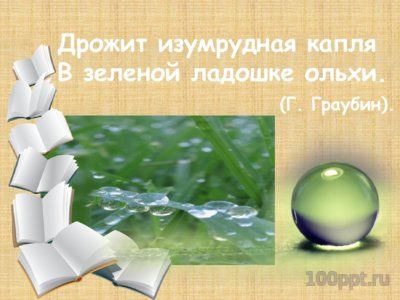 Презентация группы слов по значению - слайд 5 5 слайд презентации группы слов по значению