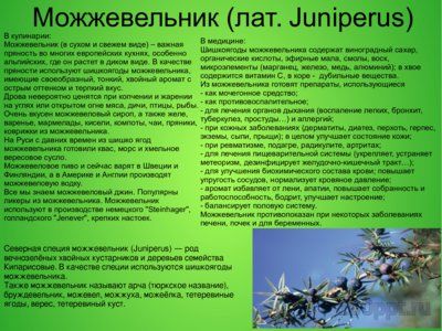 Презентация лекарственные и ядовитые растения среди специй - слайд 8 8 слайд презентации лекарственные и ядовитые растения среди специй