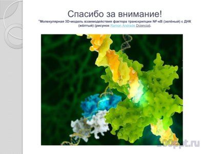 Презентация синтез нуклеиновых кислот - слайд 9 9 слайд презентации синтез нуклеиновых кислот