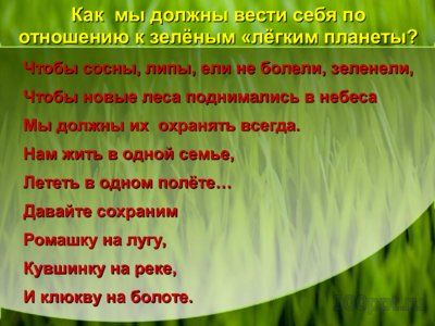 Презентация дыхание растений - слайд 7 7 слайд презентации дыхание растений