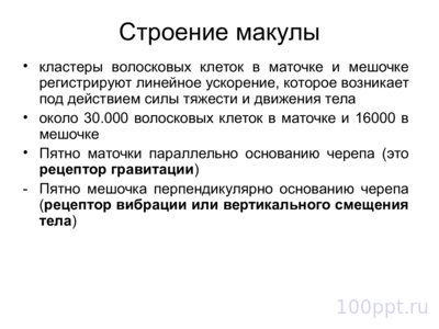 Презентация вестибулярный аппарат - слайд 9 9 слайд презентации вестибулярный аппарат