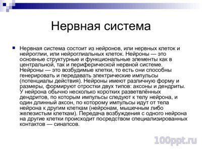 Презентация система органов человека - слайд 3 3 слайд презентации система органов человека