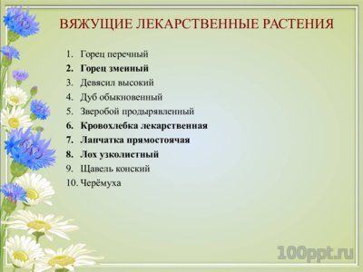 Презентация вяжущие лекарственные растения - слайд 1 1 слайд презентации вяжущие лекарственные растения