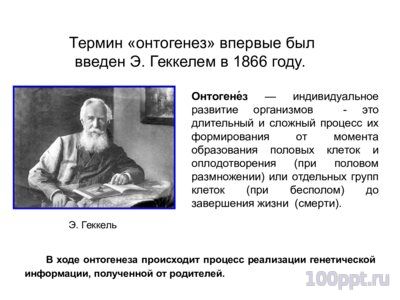 Презентация основные закономерностионтогенеза - слайд 1 1 слайд презентации основные закономерностионтогенеза