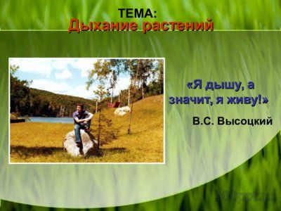 Презентация дыхание растений - слайд 2 2 слайд презентации дыхание растений