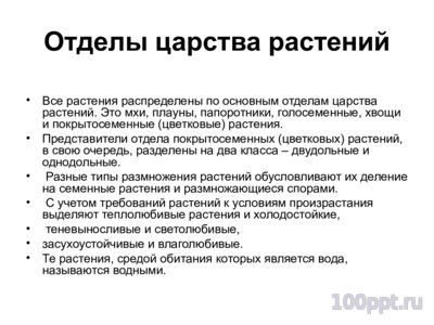 Презентация классификация растений - слайд 6 6 слайд презентации классификация растений