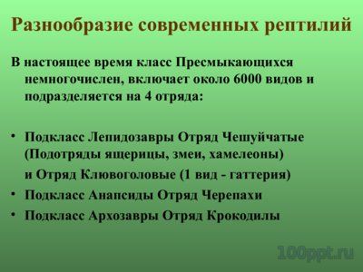 Презентация многообразие пресмыкающихся - слайд 1 1 слайд презентации многообразие пресмыкающихся