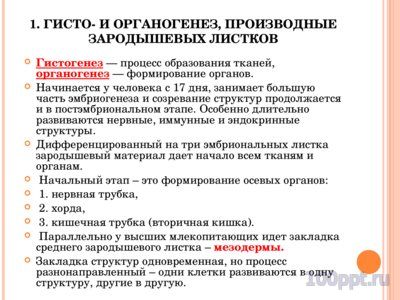 Презентация онтогенез многоклеточных - слайд 4 4 слайд презентации онтогенез многоклеточных