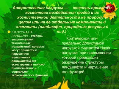 Презентация антропогенная нагрузка - слайд 1 1 слайд презентации антропогенная нагрузка