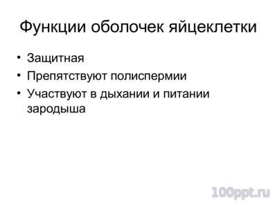 Презентация основные закономерностионтогенеза - слайд 4 4 слайд презентации основные закономерностионтогенеза