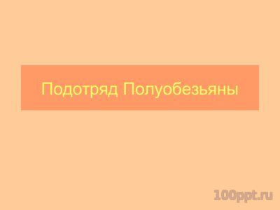 Презентация отряд приматы - слайд 1 1 слайд презентации отряд приматы
